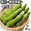 【ふるさと納税】そら豆 約4kg　【野菜・そらまめ　】　お届け：2024年5月上旬～5月下旬