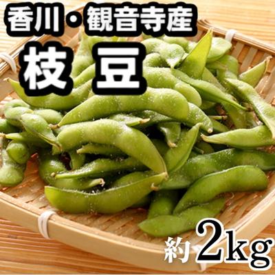 枝豆 約2kg [野菜・えだ豆 ] お届け:2024年7月上旬〜8月上旬