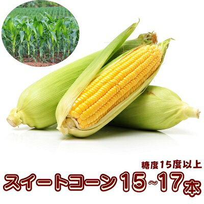 スイートコーン おおもの 15～17本　【野菜・とうもろこし　】　お届け：2024年6月中旬～7月上旬