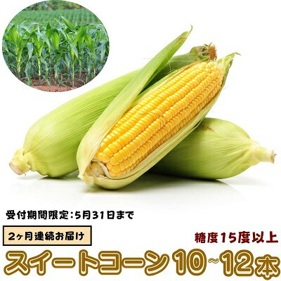 スイートコーン　おおもの【2ヶ月連続お届け】　【定期便・野菜・とうもろこし　】　お届け：2024年6月中旬～7月上旬