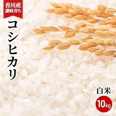 【ふるさと納税】令和7年 香川県産「コシヒカリ」 10kg 讃岐育ち 精米 お米 こしひかり おこめ 白米 お届け:2025年9月上旬より順次お届け開始 【ふるさと納税】令和7年 香川県産「コシヒカリ」 10kg 讃岐育ち 精米 お米 こしひかり おこめ 白米 お届け:2025年9月上旬より順次お届け開始