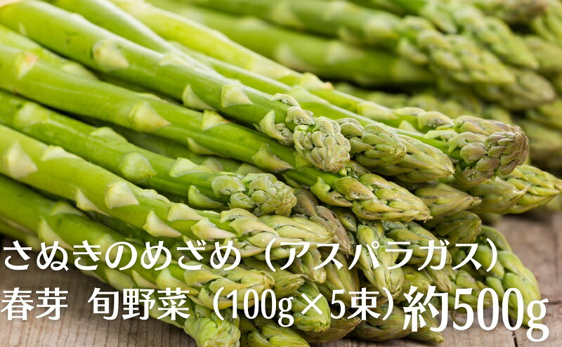 【ふるさと納税】さぬきのめざめ（アスパラガス）春芽 旬野菜　【アスパラガス・野菜セット】　お届け：2024年2月下旬～5月下旬