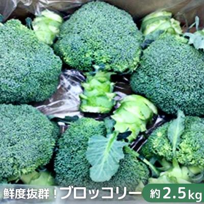 鮮度抜群!ブロッコリー 約2.5kg [野菜・野菜セット] お届け:2023年11月下旬〜2024年6月中旬