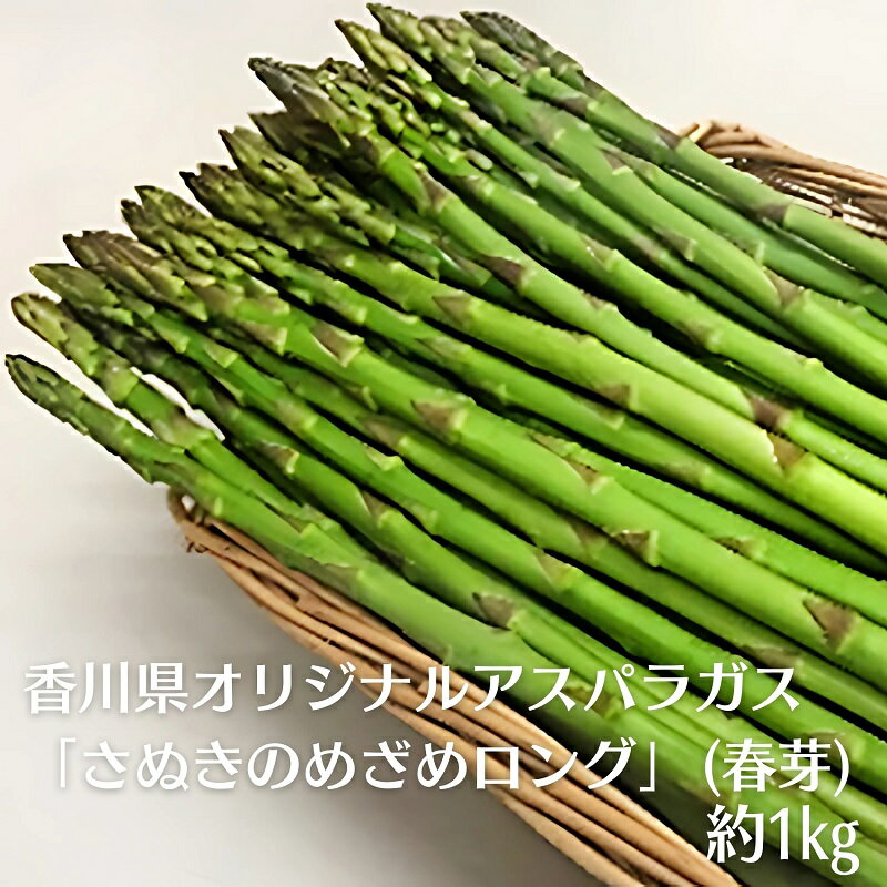 香川県オリジナルアスパラガス「さぬきのめざめロング」(春芽)約1kg [アスパラガス・野菜・野菜セット] お届け:2024年2月下旬〜5月下旬