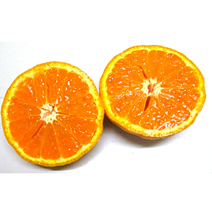 【ふるさと納税】なつみ（カラマンダリン）約5kg　【果物類・柑橘類・みかん・フルーツ】　お届け：2023年4月下旬～5月中旬