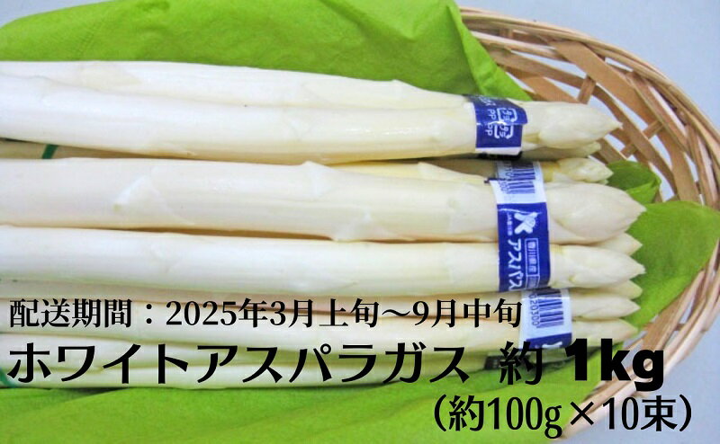 【ふるさと納税】ホワイトアスパラガス 約1kg　【アスパラガス・野菜】　お届け：2024年3月上旬～9月中旬