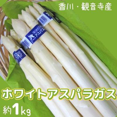 13位! 口コミ数「0件」評価「0」ホワイトアスパラガス 約1kg　【アスパラガス・野菜】　お届け：2024年3月上旬～9月中旬