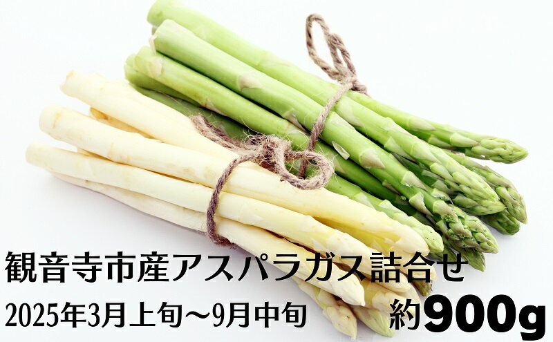 【ふるさと納税】観音寺市産アスパラガス詰合せ　【アスパラガス・野菜】　お届け：2024年3月上旬～9月中旬