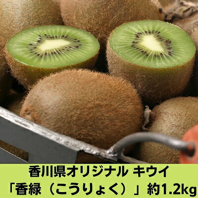 【ふるさと納税】香川県オリジナルキウイ「香緑(こうりょく)」約1.2kg 果物詰合せ フルーツ お届け:2025年11月下旬〜2026年1月下旬