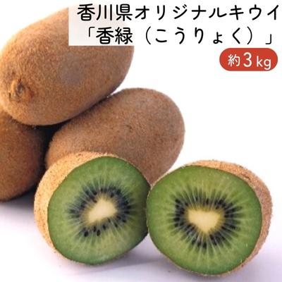 【ふるさと納税】香川県オリジナルキウイ「香緑(こうりょく)」約3kg 果実 キウィ 甘い 讃岐 フルーツ 果物詰合せ お届け:2025年11月下旬〜2026年...