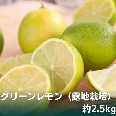 【ふるさと納税】2025年秋よりお届け グリーンレモン(露地栽培)約2.5kg 果物類 柑橘類 柑橘 檸檬 お届け:2025年10月上旬〜12月上旬