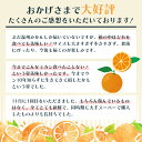 香川県観音寺市の画像3