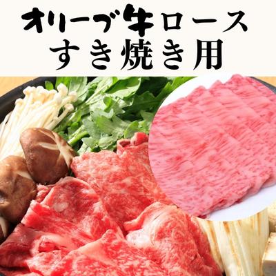 オリーブ牛ロース すき焼き用 500g [お肉・牛肉・すき焼き・オリーブ牛ロース・すき焼き用]