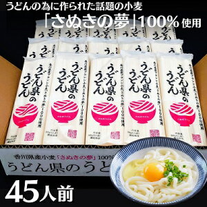 【ふるさと納税】本場 讃岐うどん 乾麺【うどん県のうどん】45人前 300g×15袋入り さぬき 香川県産 おとりよせ　【麺類・うどん・乾麺・讃岐うどん】