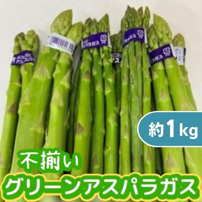 【ふるさと納税】不揃い グリーン アスパラガス 約1kg　【アスパラガス・野菜・グリーンアスパラガス ・約1kg・不揃い】　お届け：2024年6月上旬～10月上旬