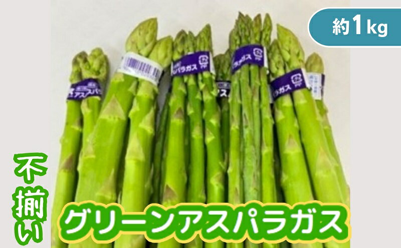 【ふるさと納税】不揃い グリーン アスパラガス 約1kg　【アスパラガス・野菜・グリーンアスパラガス ・約1kg・不揃い】　お届け：2024年6月上旬～10月上旬