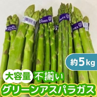 【ふるさと納税】不揃い グリーン アスパラガス 約5kg　【アスパラガス・野菜・グリーンアスパラガス...