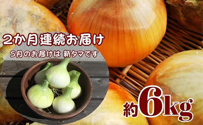 【ふるさと納税】観音寺産 採れたての たまねぎ　約6kg（2ヵ月連続お届け）　【定期便・野菜・玉ねぎ・たまねぎ・タマネギ】　お届け：2024年5月上旬～9月下旬