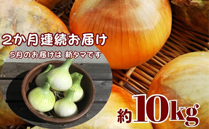 【ふるさと納税】観音寺産採れたての たまねぎ　約10kg（2ヵ月連続お届け）　【定期便・野菜・玉ねぎ・たまねぎ・タマネギ】　お届け：2024年5月上旬～9月下旬