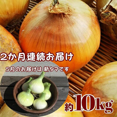 【ふるさと納税】観音寺産採れたての たまねぎ　約10kg（2ヵ月連続お届け）　【定期便・野菜・玉ねぎ...