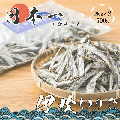 【ふるさと納税】いりこの産地から！伊吹いりこ 大羽 500g（250g×2袋）　【 瀬戸内海 伊吹島産 大羽 鰯..