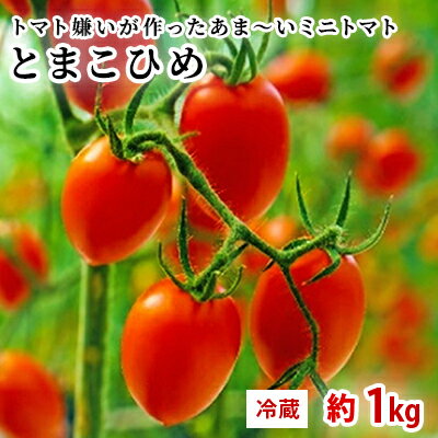 トマト嫌いが作ったあま〜いミニトマト『とまこひめ』約1kg 冷蔵便配送 [野菜・ミニトマト・トマト・野菜セット・約1kg] お届け:2024年4月下旬〜8月上旬