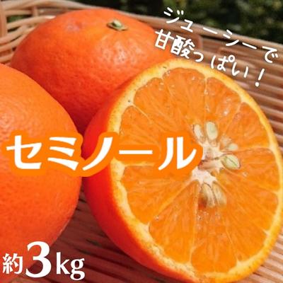 セミノール 約3kg [果物類・柑橘類・フルーツ] お届け:2025年4月中旬〜5月上旬