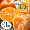 【ふるさと納税】2025年秋よりお届け 瀬戸内 小みかん!コロ丸 約3kg 果物類 柑橘類 フルーツ お届け:2025年10月上旬〜12月中旬