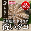 【ふるさと納税】香川県産　下処理済み・加熱用　冷凍生タコ（さぬき蛸）1杯　約900g　【魚貝類・タコ・下処理済み・加熱用・冷凍生タコ・約900g】