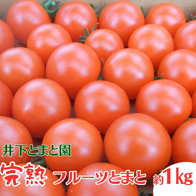 【ふるさと納税】井下とまと園の完熟フルーツトマト 約1kg　【果物類・フルーツ・野菜・トマト・フル...