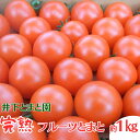 【ふるさと納税】井下とまと園の完熟フルーツトマト 約1kg 【果物類 フルーツ 野菜 トマト フルーツトマト 約1kg】 お届け：2023年12月中旬～2024年6月下旬