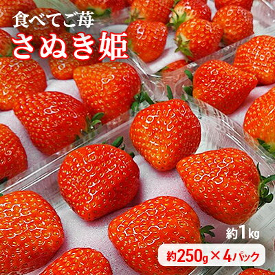 食べてご苺（さぬき姫）約1kg（約250g×4パック）　【果物類・いちご・苺・イチゴ・観音寺産・さぬき姫・オリジナル品種・紅色・高設式養液栽培・プレゼント】　お届け：2024年1月上旬～5月下旬