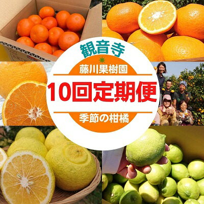 みかん レモン 定期便 10回 フルーツ フジカワ果樹園オリジナル（季節の柑橘セット） 果物　