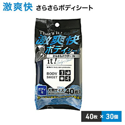 【ふるさと納税】激爽快さらさらボディシート40枚入×30個セット【メンズコスメ】　【 美容 雑貨 日用...