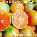 【ふるさと納税】2025年秋よりお届け 高糖度温州みかん(由良早生)約10kg 香川県産 フルーツ 果物類 柑橘類 お届け:2025年10月上旬~11月上旬