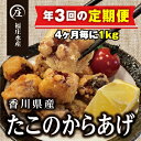 【ふるさと納税】【定期便/年3回】絶品！子供から大人まで大満足！香川県産たこのからあげ1kg（500g×2袋）　【定期便・ 加工品 惣菜 冷凍 魚貝類 タコ 新鮮 真ダコ 厳選 食べやすい カット 独自製法 急速冷凍 唐揚げ からあげ 】　お届け：スタート月より4ヶ月ごとにお届け