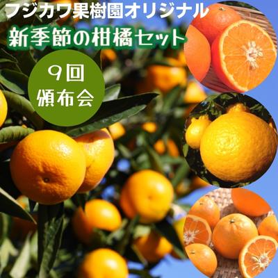 [9回頒布会]フジカワ果樹園オリジナル・新季節の柑橘セット [定期便・ 定期便 食べ比べ ] お届け:ご寄附(入金)頂いた月の次月回より配送開始となります