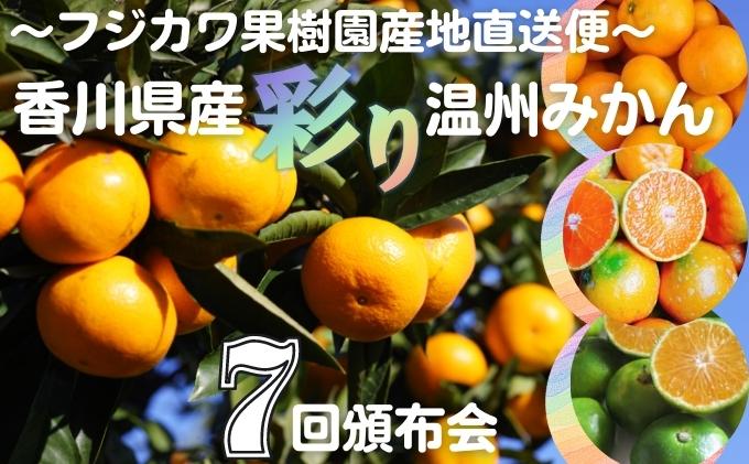 【ふるさと納税】【7回頒布会】～フジカワ果樹園産地直送便～香川県産・彩り温州みかんセット　【定期便・ 果物 柑橘 フルーツ 食べ比べ 】　お届け：ご寄附（入金）頂いた月の次月回より配送開始となります