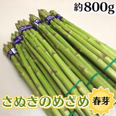 【ふるさと納税】香川オリジナルアスパラガス「さぬきのめざめ春芽」細物　約800g　【 アスパラガス ...