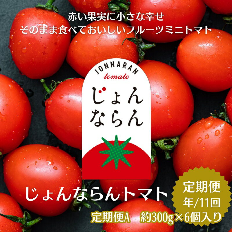 【ふるさと納税】モリヒロ園芸が育てたじょんならんトマトの定期便A　約300g×6個入り（年間11回）　【定期便・ 野菜 ミニトマト 甘い フルーツ サラダ 】　お届け：ご寄附（入金）頂いた月の翌月回より年間スタート致します