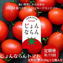 1位! 口コミ数「0件」評価「0」モリヒロ園芸が育てたじょんならんトマトの定期便B　約300g×12個入り（年間11回）　【定期便・ 野菜 ミニトマト 甘い フルーツ サラダ･･･ 