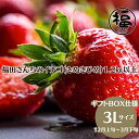 【ふるさと納税】福田さんちのイチゴ(さぬきひめ) 3Lサイズ 1.2kg以上 ギフトボックス3箱【配送不可:北海道、沖縄、離島エリア】苺 農園直送 いちご採れたて 直送 お届け:2025年12月上旬~2026年3月下旬収穫次第順次発送いたします。