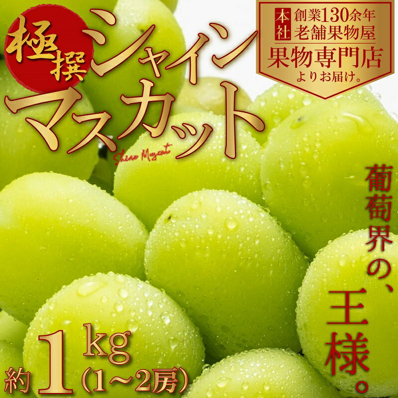 22位! 口コミ数「2件」評価「2」【2024年先行予約】極撰！シャインマスカット　約1kg(1～2房)　【 果物 ぶどう フルーツ デザート 食後 国産 日本産 産地直送 ジ･･･ 