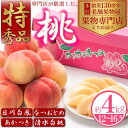 【ふるさと納税】【2024年先行予約】特秀品！桃　約4kg（12～16玉）　【 果物 フルーツ デザート 食後 国産 日本産 産地直送 ジューシー 果汁たっぷり 夏の果物 夏のフルーツ 】　お届け：2024年6月下旬～8月中旬