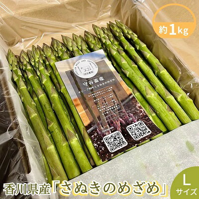 17位! 口コミ数「0件」評価「0」香川県産アスパラガス「さぬきのめざめ」Lサイズ　約1kg　【 野菜 特産品 27cm前後 瀬戸内海 グリーンアスパラガス 冷蔵配送 】　お届･･･ 