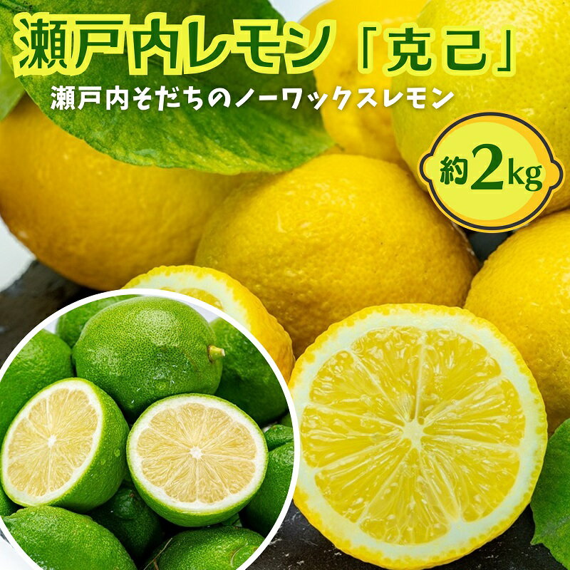 【ふるさと納税】瀬戸内レモン【克己】 約2.0kg　【 果物 柑橘 グリーンレモン 豊かな酸味 爽やかな香り イエローレモン まろやかな酸味 国産 日本産 】　お届け：2023年10月中旬～2024年3月下旬