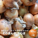 【ふるさと納税】訳あり(サイズ混合おまかせ)そのまんま 玉ねぎ(約5kg×2箱)計約10kg たまねぎ 野菜 お届け:2025年5月中旬~6月下旬