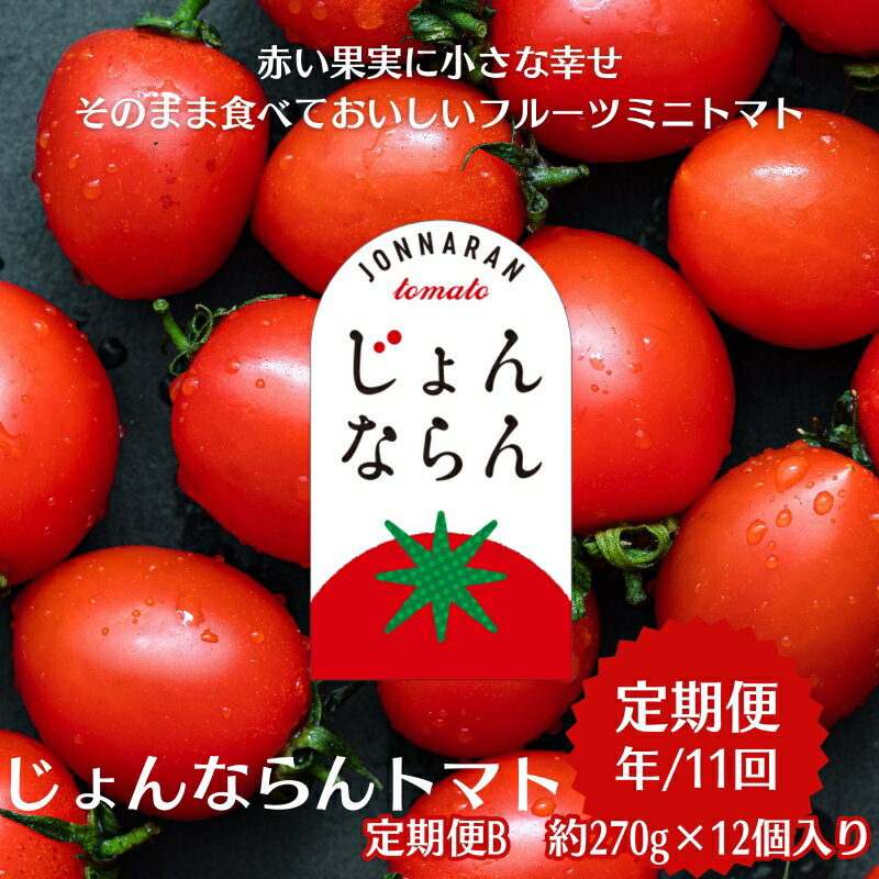 【ふるさと納税】モリヒロ園芸が育てたじょんならんトマトの定期便B　約270g×12個入り（年間11回） 野菜 ミニトマト 甘い フルーツ サラダ 　お届け：ご寄附（入金）頂いた月の翌月回より年間スタート致します。