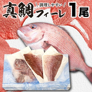【ふるさと納税】真鯛 フィレ 1尾分 鯛 魚 鮮魚 産地直送 送料無料