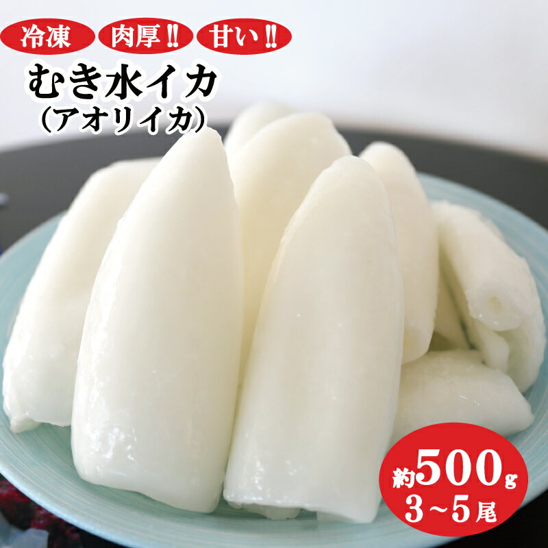 【ふるさと納税】 むき水イカ 500g（アオリイカ）※3～5...